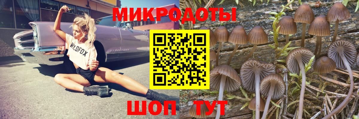 Псилоцибиновые грибы Cubensis Братск
