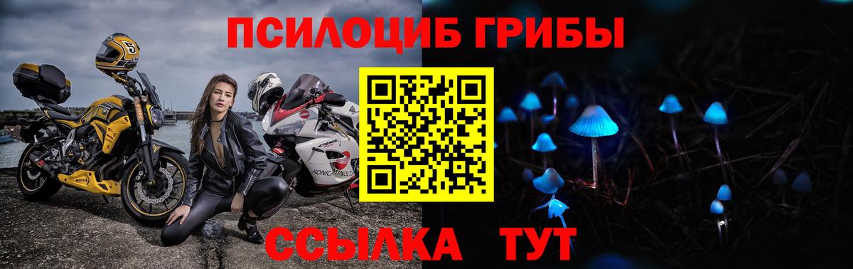 Конопля  Братск  Вход с VPN  Меф   Гашиш 